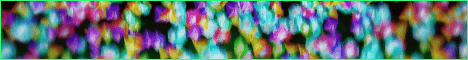 NineDash Network banner