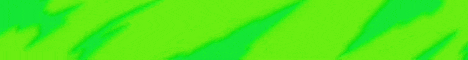 PinnaMC banner